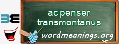 WordMeaning blackboard for acipenser transmontanus